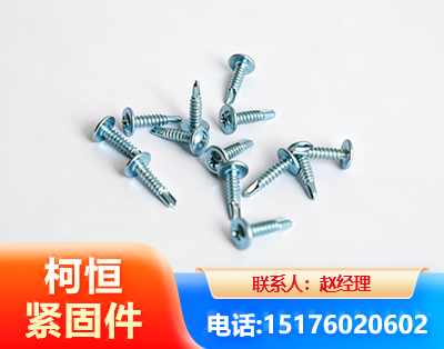 舟山华司钻尾丝