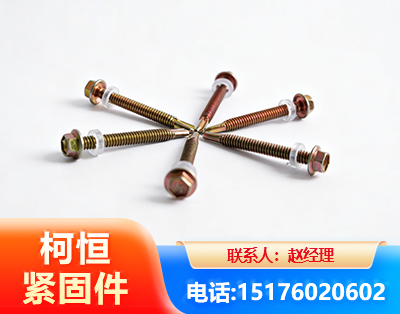 舟山六角钻尾丝
