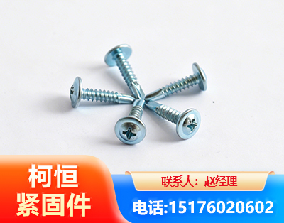 舟山华司钻尾丝
